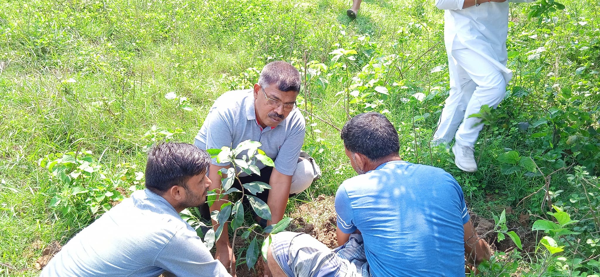 Nayi disha Seva trust gorakhpur